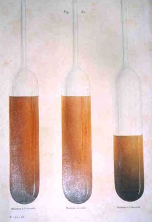 f_pasteur - effetto dell'aria sul vino.jpg (15870 byte)