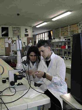 Analisi al microscopio.jpg (22476 byte)