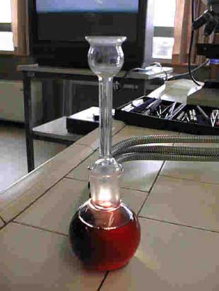 Effetto tyndall in vino torbido.jpg (20339 byte)