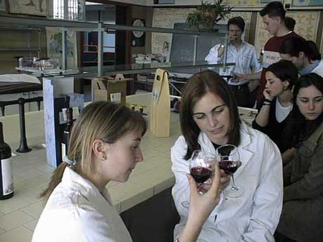 assaggio.jpg (30325 byte)