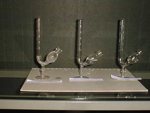 prova fermentazione con saccarimetri.jpg (21676 byte)