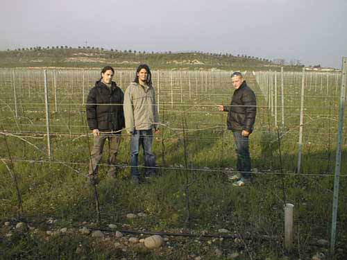 visita vitigno custoza.jpg (28441 byte)